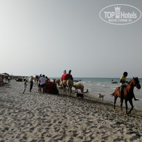 фото из отзыва ID 1793435