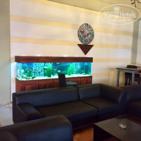 фото из отзыва ID 1793498