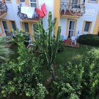 фото из отзыва ID 1793614