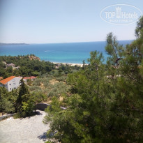 фото из отзыва ID 1792042