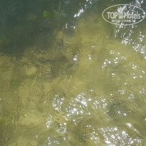 фото из отзыва ID 1793080