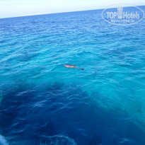 фото из отзыва ID 1794079