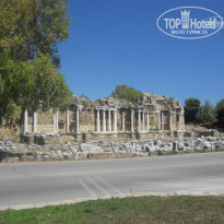 фото из отзыва ID 1794298