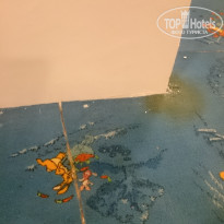 фото из отзыва ID 1794282