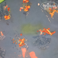 фото из отзыва ID 1794282