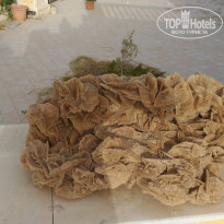 фото из отзыва ID 1794273