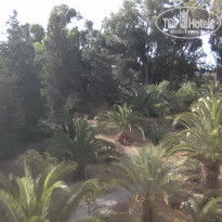 фото из отзыва ID 1794404