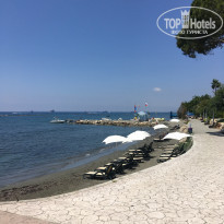 фото из отзыва ID 1794528