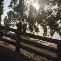 фото из отзыва ID 1794528