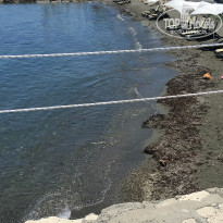 фото из отзыва ID 1794528