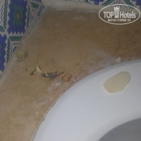 фото из отзыва ID 1794577