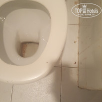 фото из отзыва ID 1794577