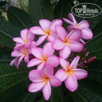 фото из отзыва ID 1794599