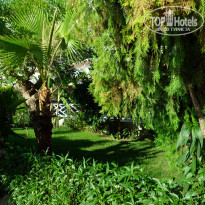 фото из отзыва ID 1794736