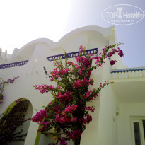 фото из отзыва ID 1794829