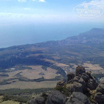 фото из отзыва ID 1794870