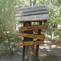 фото из отзыва ID 1794870