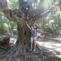 фото из отзыва ID 1794870