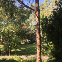 фото из отзыва ID 1794940