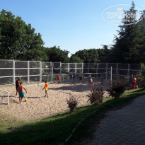 фото из отзыва ID 1794982