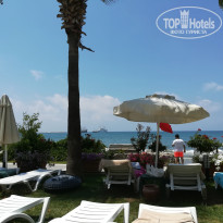 фото из отзыва ID 1794979