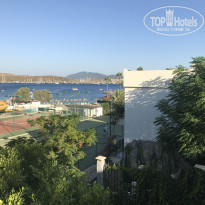 фото из отзыва ID 1795043