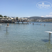 фото из отзыва ID 1795043