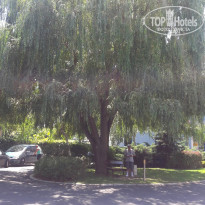 фото из отзыва ID 1795053