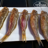 фото из отзыва ID 1793799