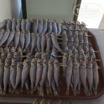 фото из отзыва ID 1793799