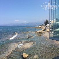 фото из отзыва ID 1795111