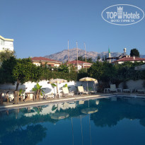 фото из отзыва ID 1795137