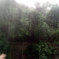 фото из отзыва ID 1795150