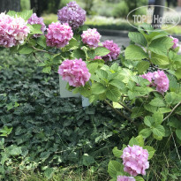 фото из отзыва ID 1795199