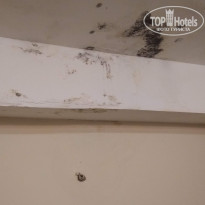 фото из отзыва ID 1795288