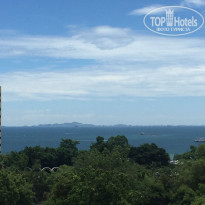 фото из отзыва ID 1795316