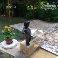 фото из отзыва ID 1795354