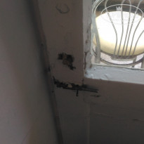 фото из отзыва ID 1795369