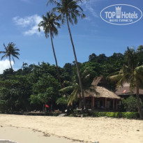 фото из отзыва ID 1795383