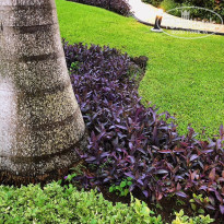 фото из отзыва ID 1795407