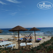 фото из отзыва ID 1795408