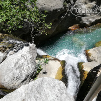 фото из отзыва ID 1795417