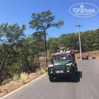 фото из отзыва ID 1795417