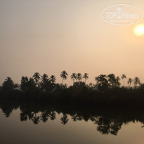 фото из отзыва ID 1795590