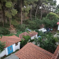 фото из отзыва ID 1795669