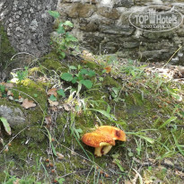 фото из отзыва ID 1795669