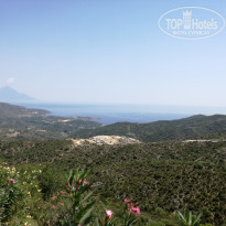 фото из отзыва ID 1795669