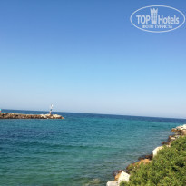 фото из отзыва ID 1795669