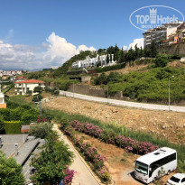 фото из отзыва ID 1795734