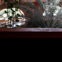 фото из отзыва ID 1795774